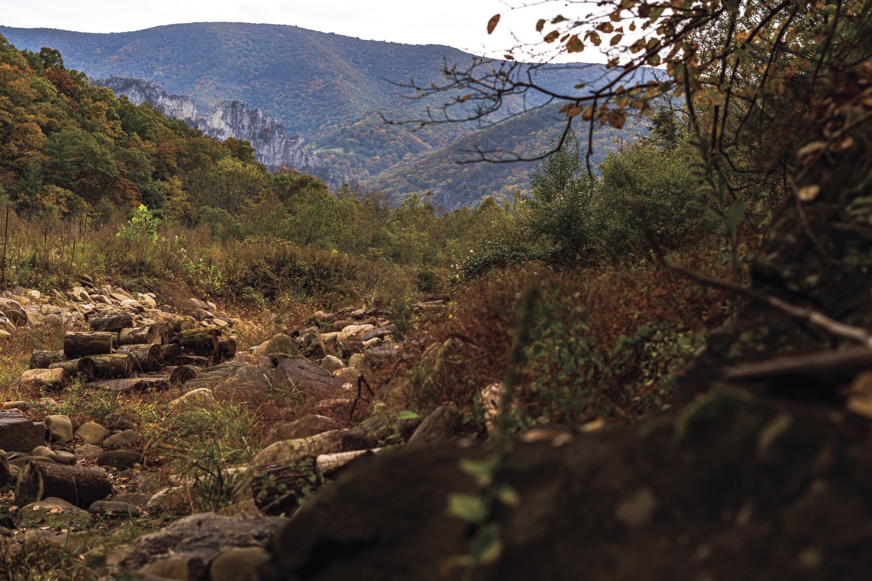 Nemesh-FallColors-5.jpg